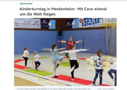 Artikel aus der Presse